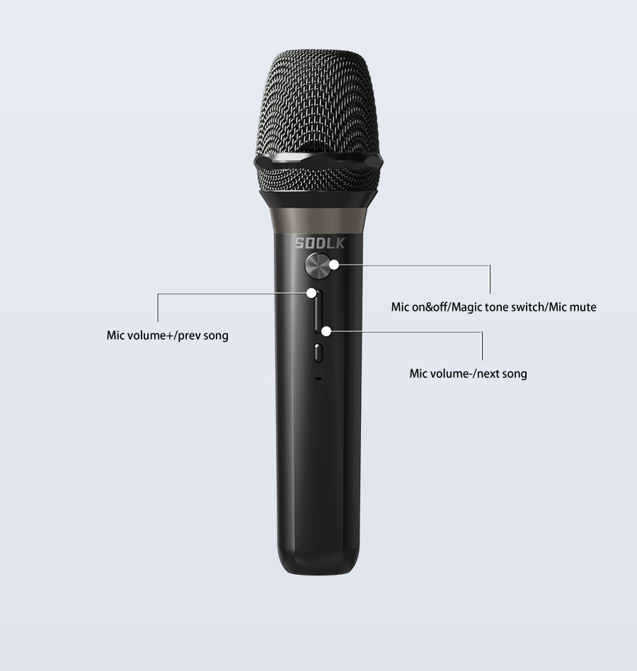 SODLK K12 - Enceinte karaoké sans fil SODLK K12 30W 5.3 avec micro, étanche IPX5, batterie 5000mAh - Enceinte portable pour fêtes en extérieur