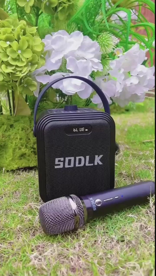 SODLK K12 - Enceinte karaoké sans fil SODLK K12 30W 5.3 avec micro, étanche IPX5, batterie 5000mAh - Enceinte portable pour fêtes en extérieur